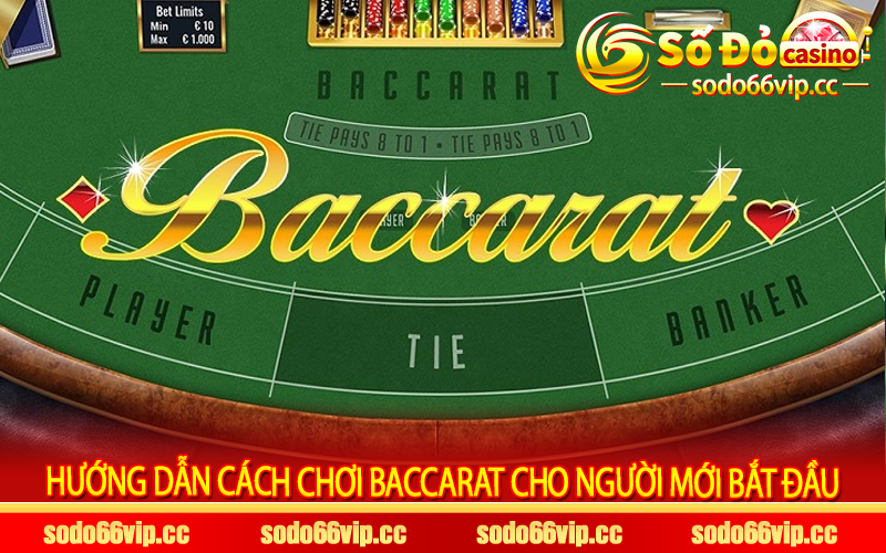 Hướng dẫn cách chơi baccarat cho người mới bắt đầu